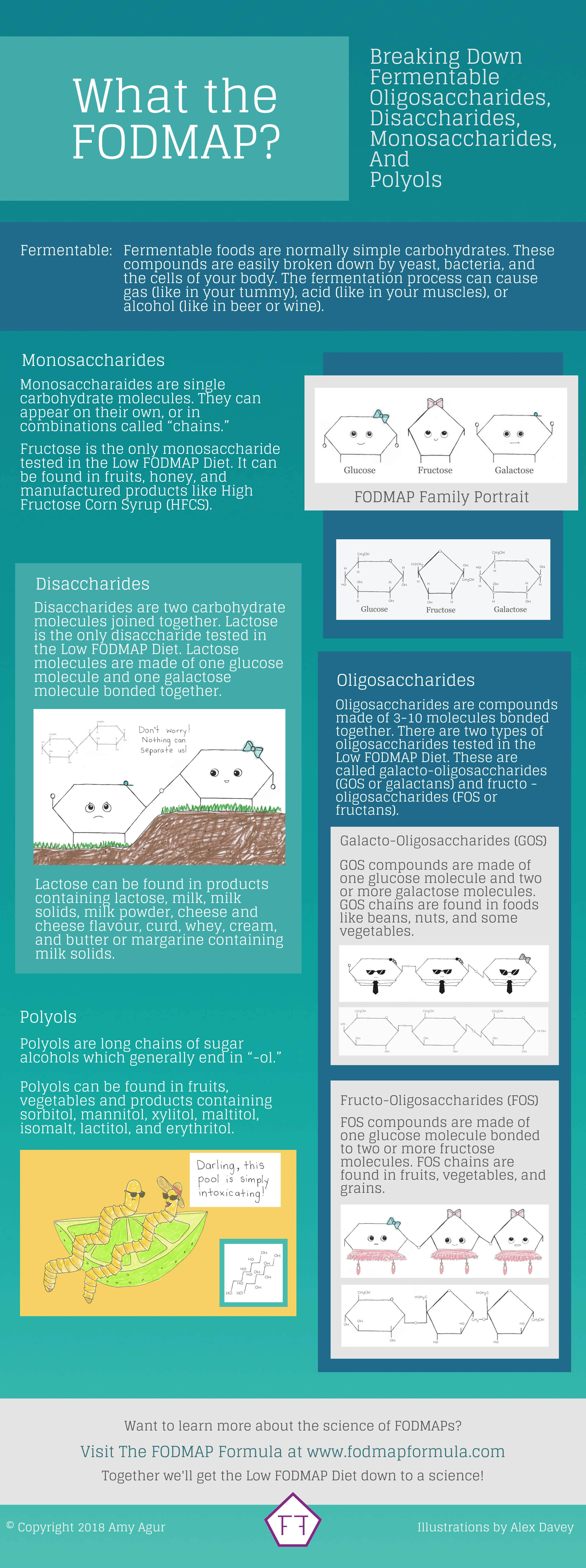 Infographic titled: What is a FODMAP? with desctiption of each FODMAP group