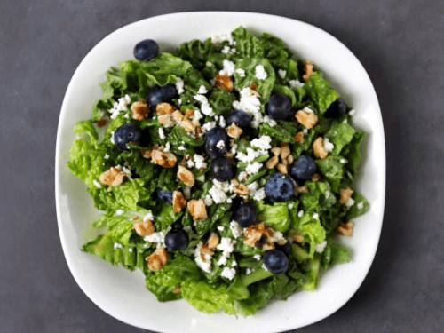https://www.fodmapformula.com/wp-content/uploads/2017/02/Low-FODMAP-Fruit-and-Walnut-Salad-Feature-Image-500x375.png