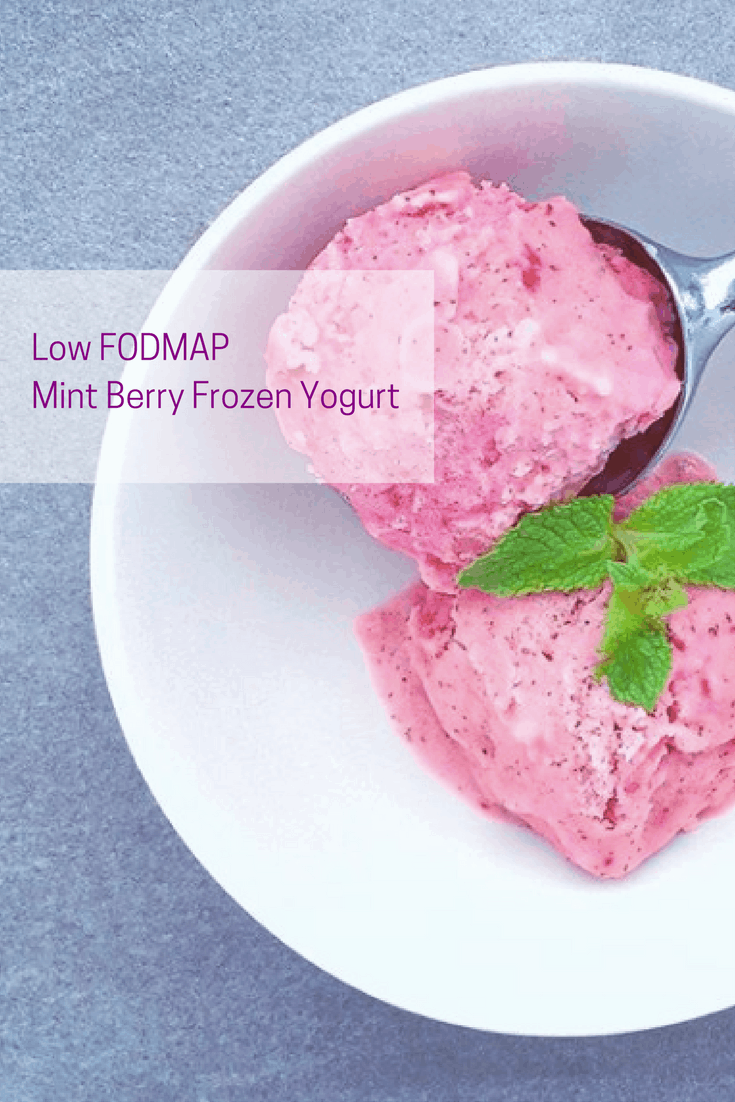 two scoops of low FODMAP mint berry frozen yogurt in bowl with ice cream scoop