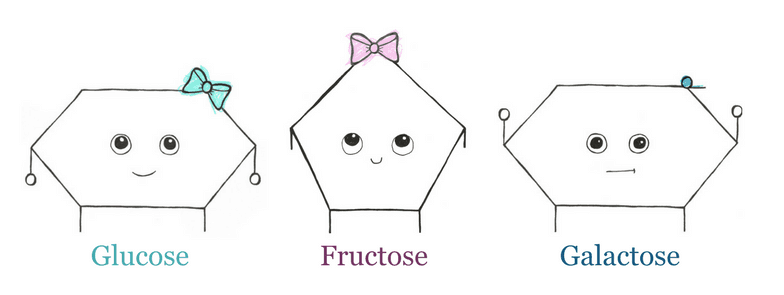 Illustration of glucose, fructose and galactose molecule