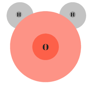 Water Molecule