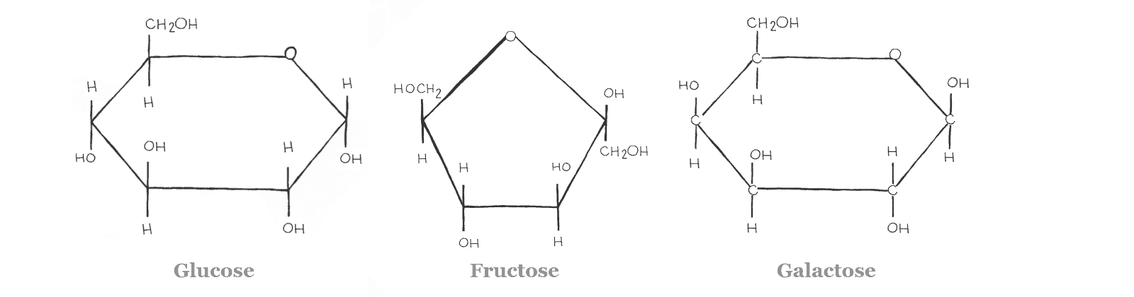 Diagram - Glucose, Fructose, Galactose - Isomers