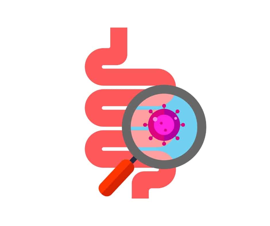 Stomach with microscope - Can Food Sensitivity Tests Identify IBS Food Triggers - Facebook Post