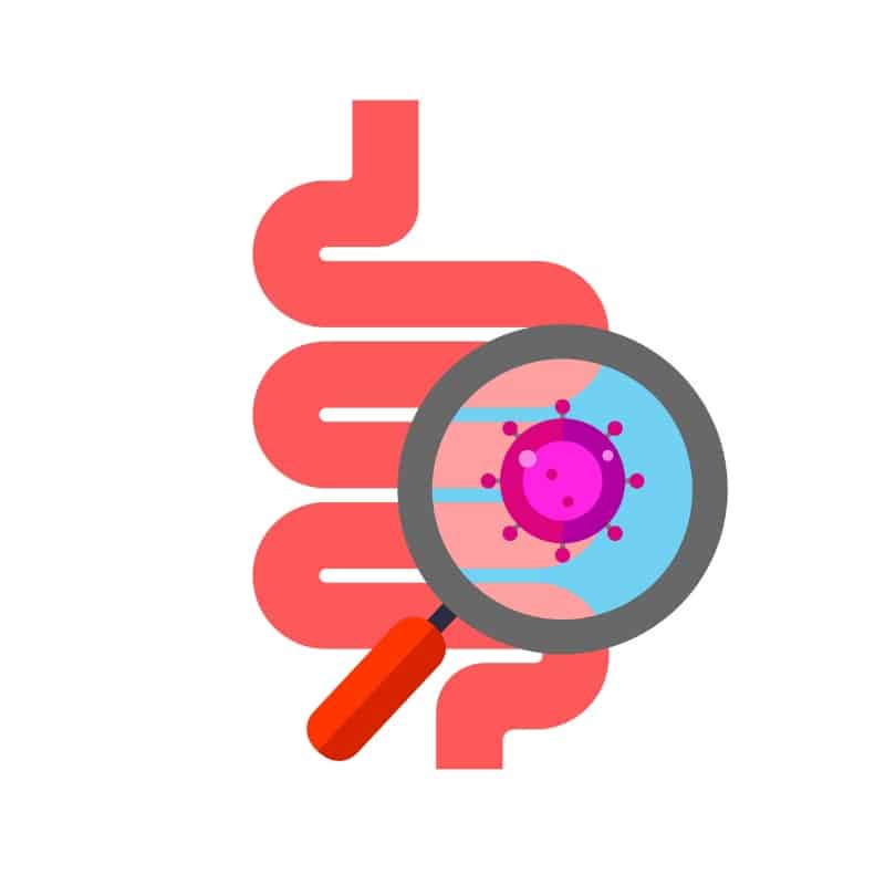 Stomach with microscope - Can Food Sensitivity Tests Identify IBS Food Triggers - Feature Image