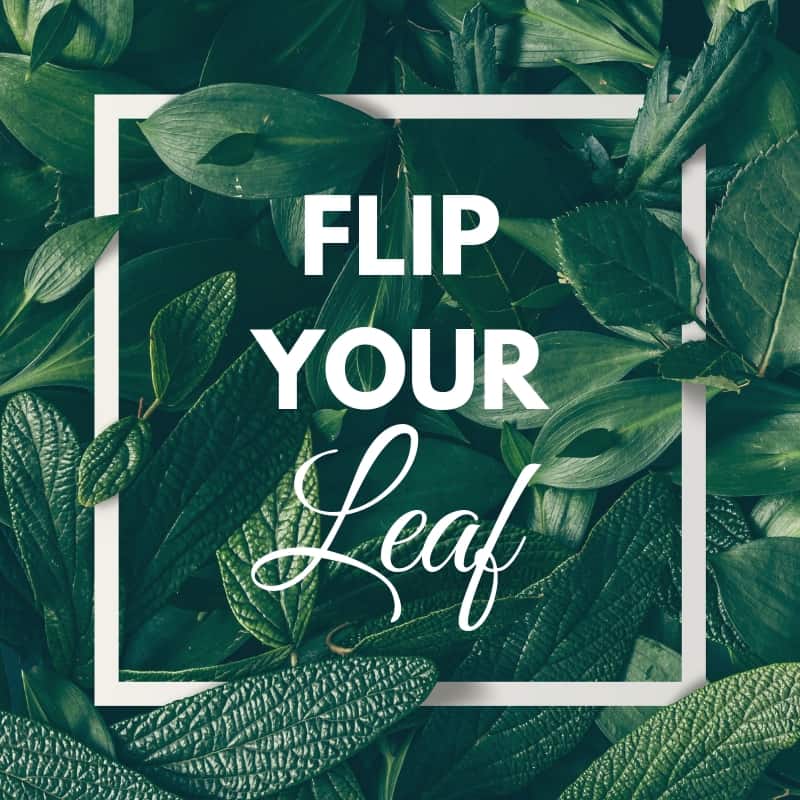 Flip Your Leaf | The FODMAP Formula