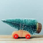 How to Survive the Holidays with IBS
