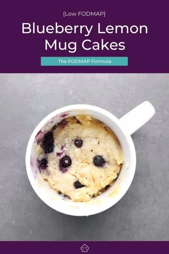 Low FODMAP Blueberry Lemon Mug Cake The FODMAP Formula