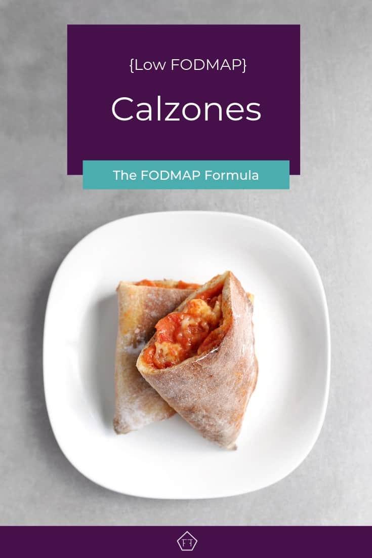 Low FODMAP calzone with melted cheese on plate - Pinterest 3