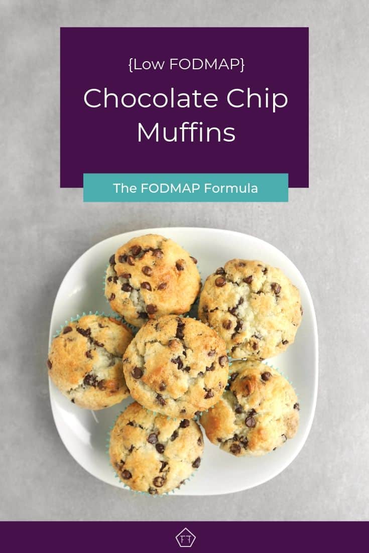 Low FODMAP Chocolate Chip Muffins on Plate - Pinterest 2