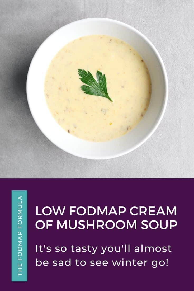 Low FODMAP Cream of Mushroom Soup in white bowl