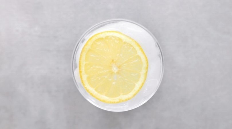 Low FODMAP Gin and Berry Cocktail with lemon wheel