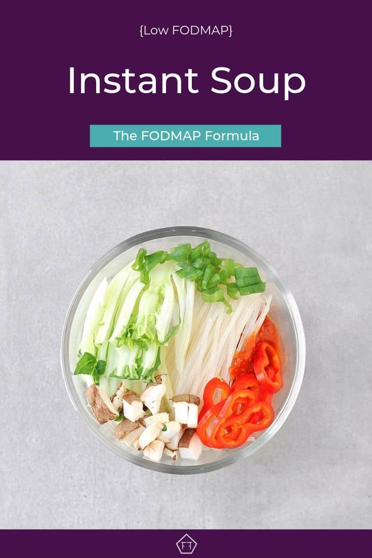 Low FODMAP Instant Soup - Pinterest 2