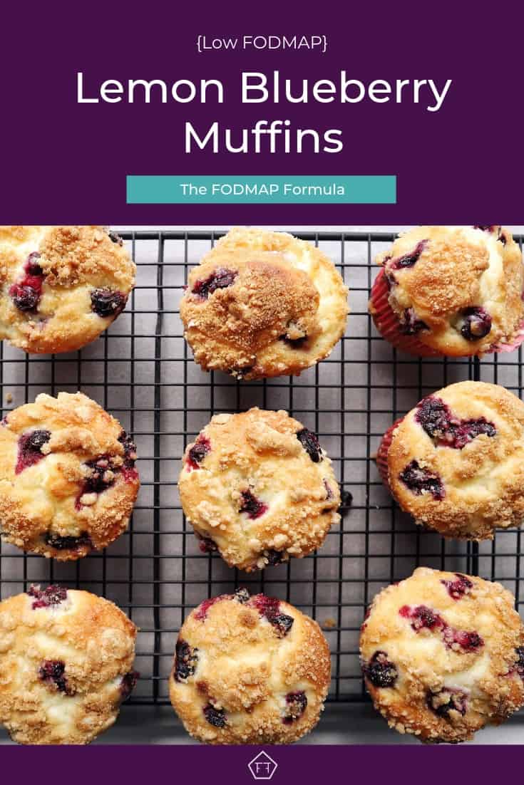 low FOMDAP lemon blueberry muffins - Pinterest 4