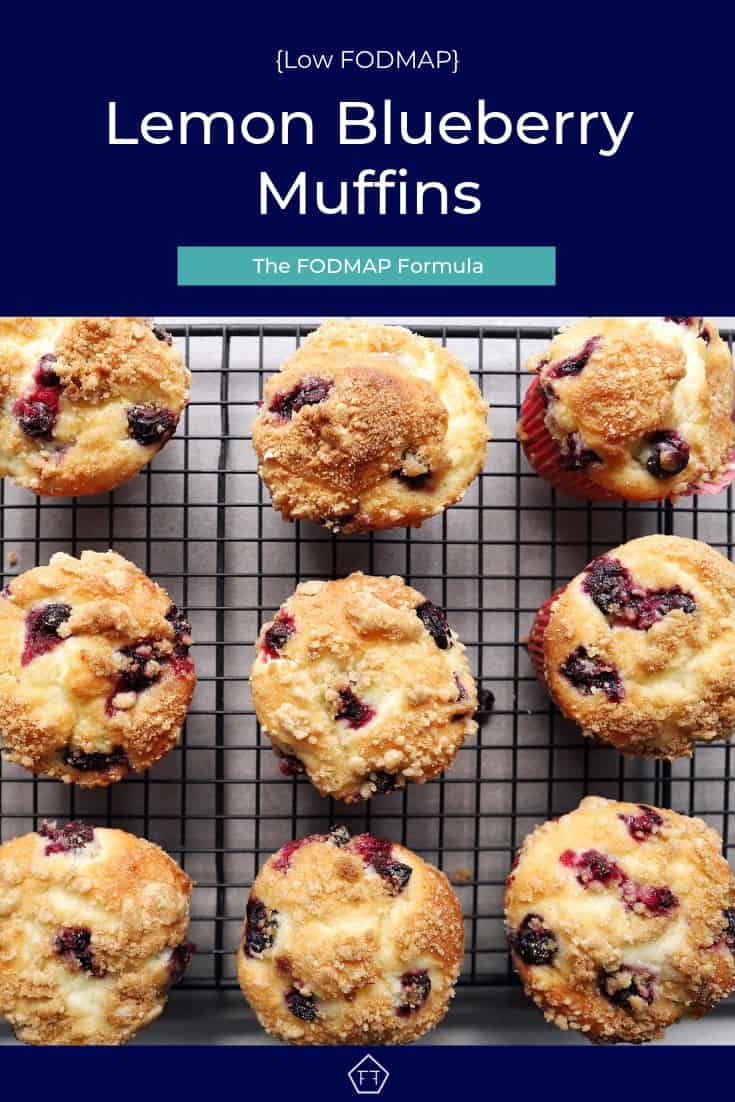 low FOMDAP lemon blueberry muffins - Pinterest 6