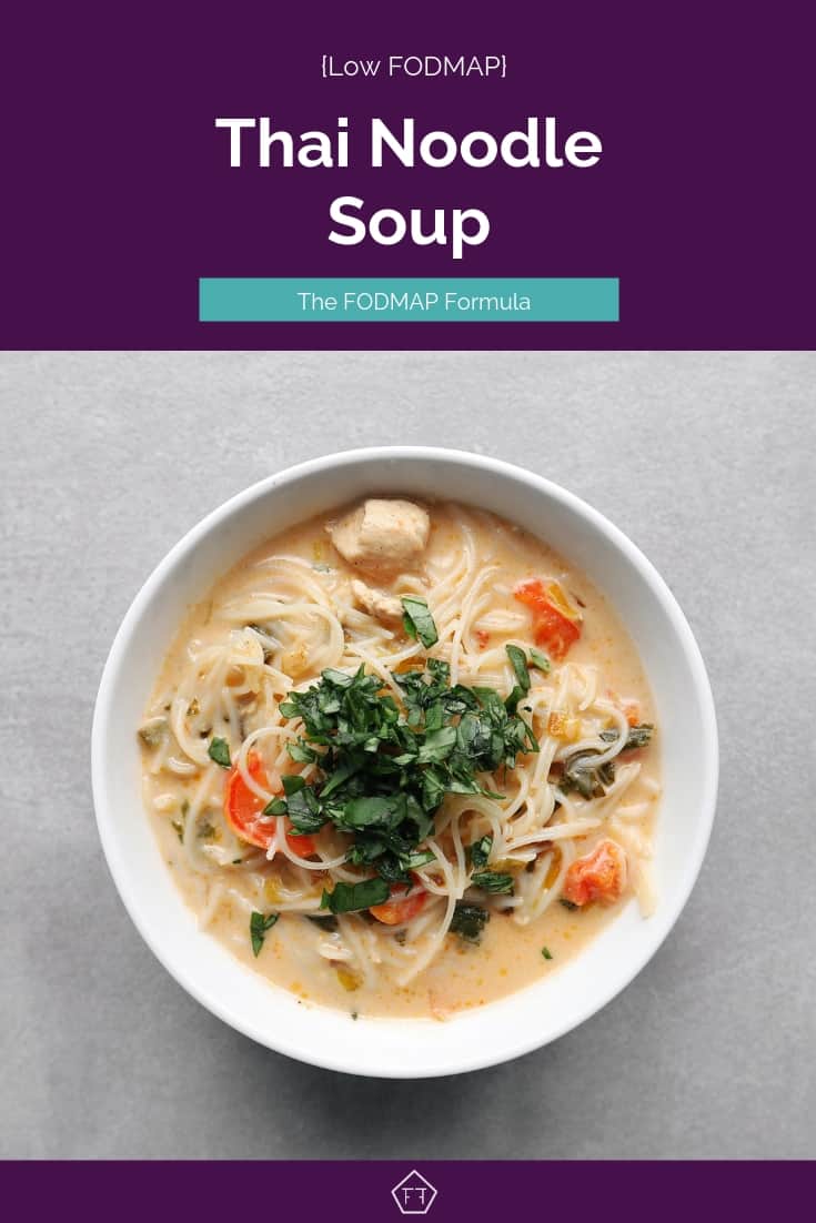 Low FODMAP Thai Noodle Soup in Bowl - 735 x 1102