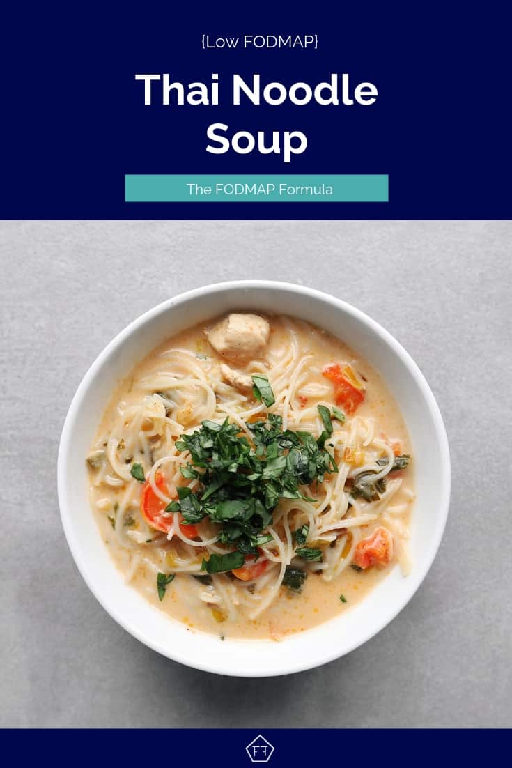 Low FODMAP Thai Noodle Soup in Bowl - 735 x 1102