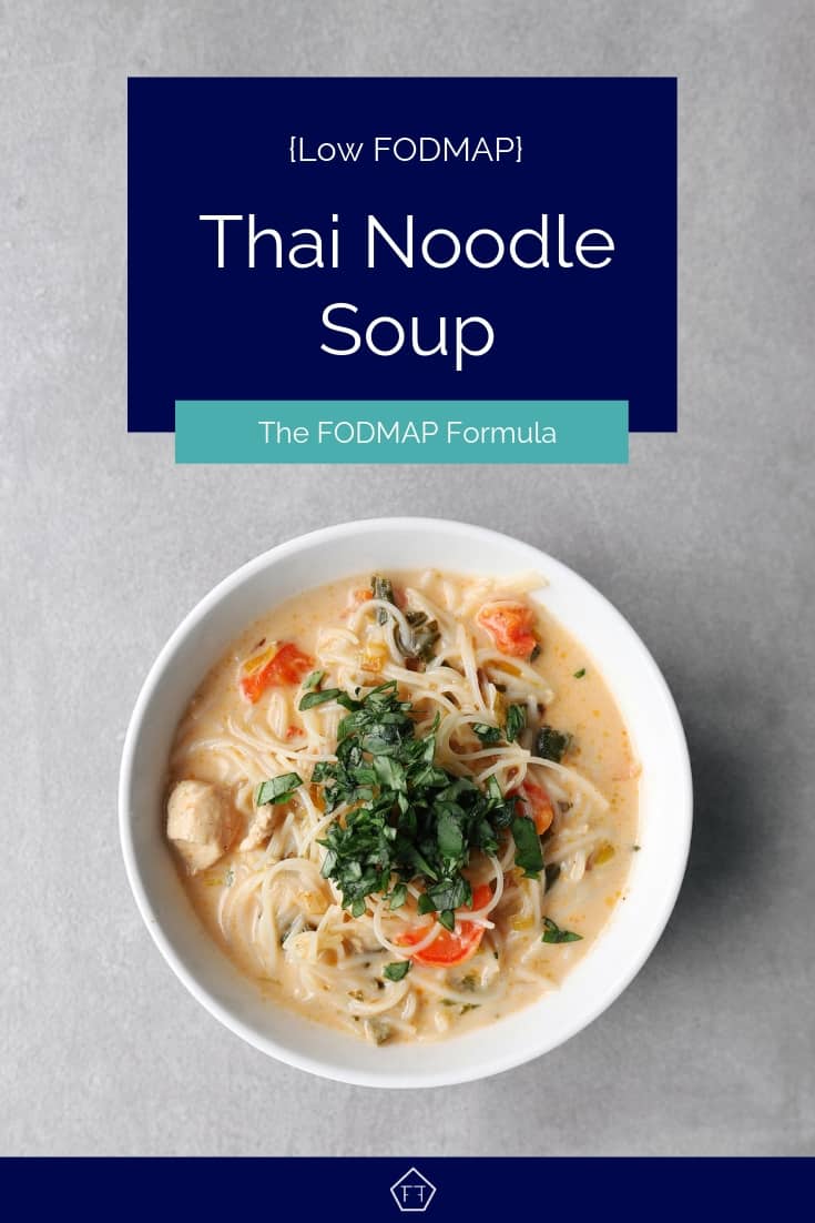Low FODMAP Thai Noodle Soup in Bowl - Pinterest 1