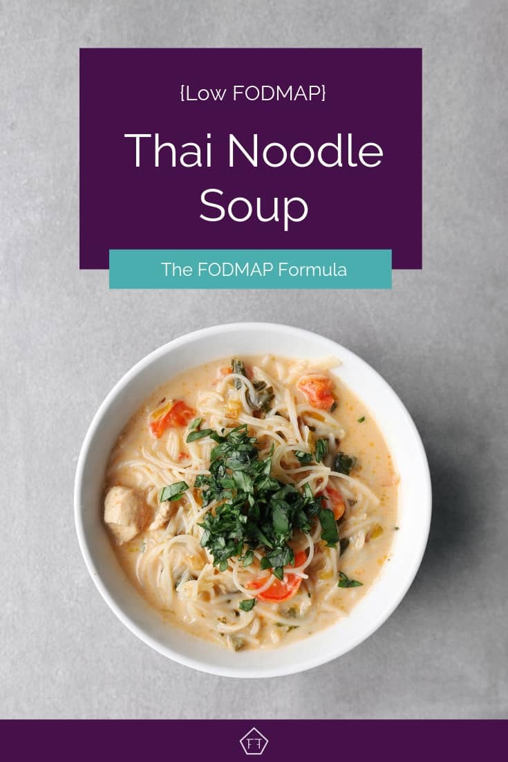 Low FODMAP Thai Noodle Soup in Bowl - Pinterest 2
