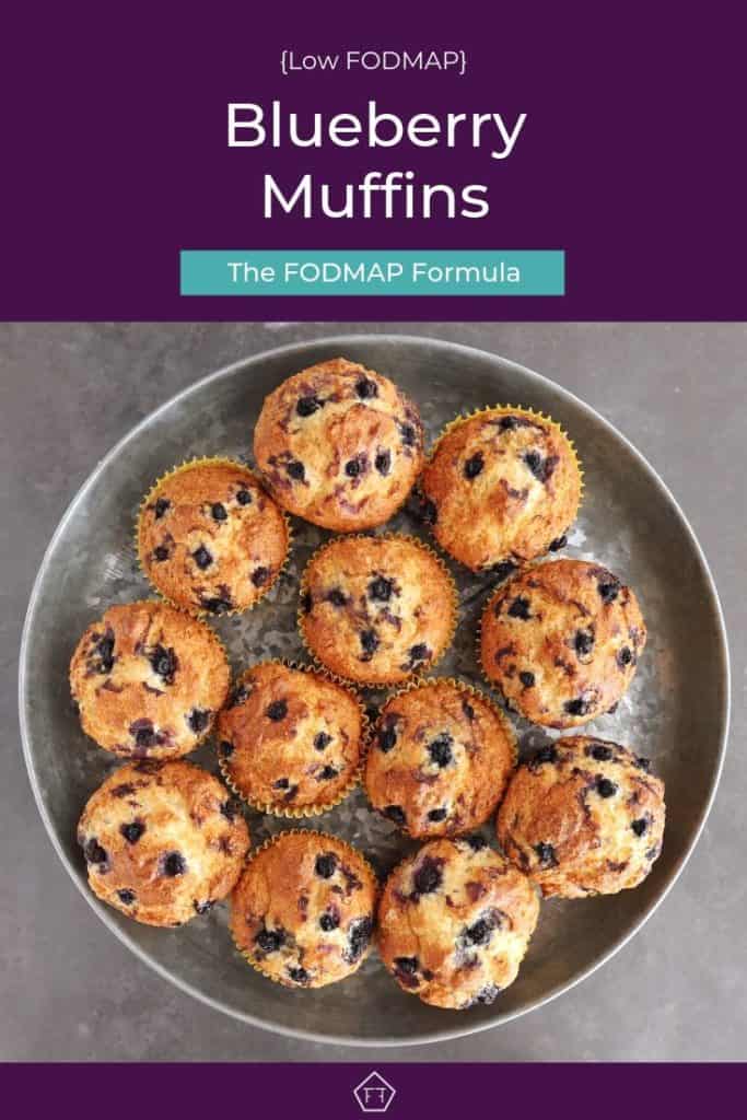 Pin 2 - Low FODMAP blueberry muffins on metal stand