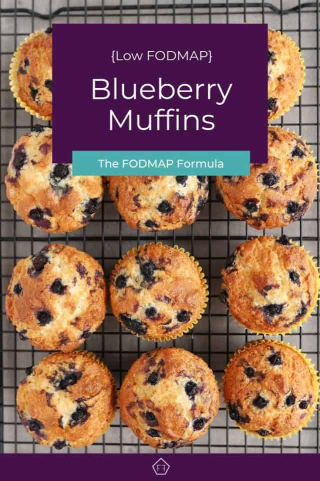 Low FODMAP Blueberry Muffins The FODMAP Formula