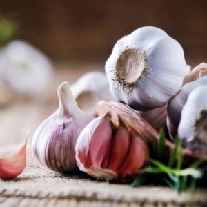 Why is garlic-infused oil low FODMAP?