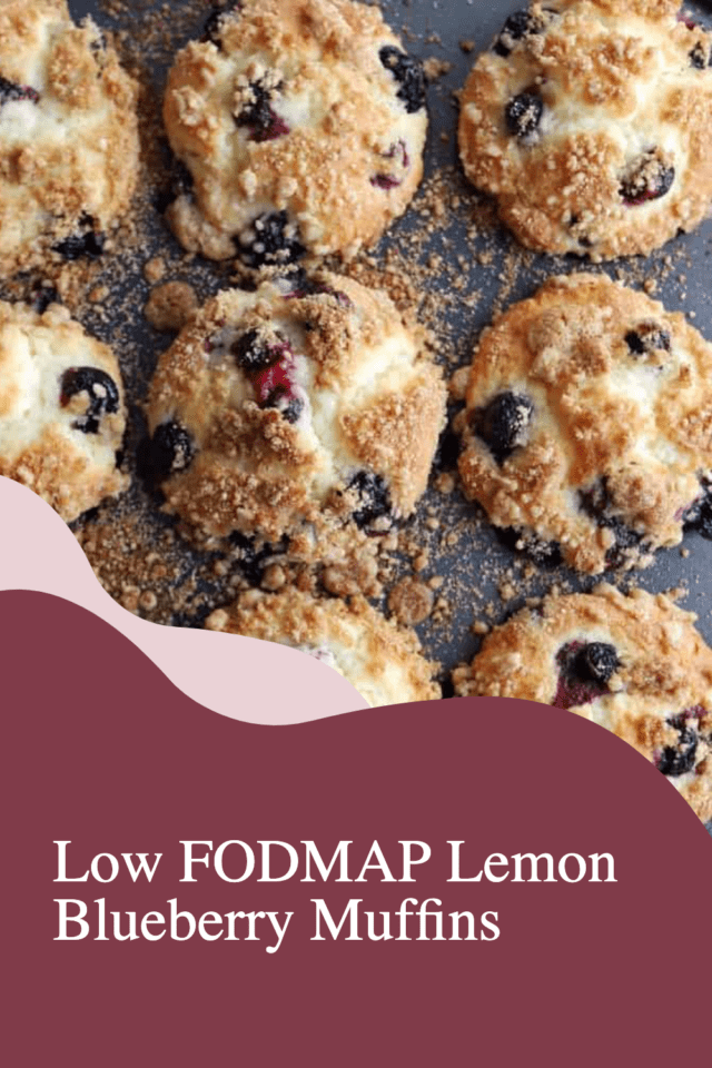 Low FODMAP Lemon Blueberry Muffins The FODMAP Formula